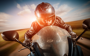 Rinder - Moto