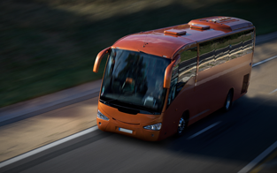 Rinder - Bus
