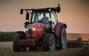 Rinder - Agrícola